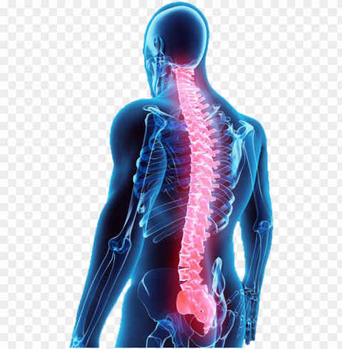 illustration of back with spine shown in red - spine surgery cost banner PNG images with high-quality resolution