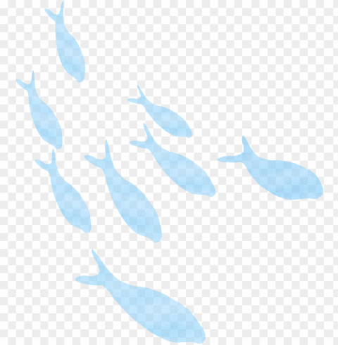 illustrations of animals plants trees and flowers - whale PNG Graphic with Transparency Isolation
