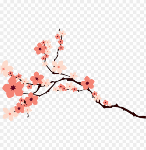 image cherry blossoms by krist n on deviantart - cherry blossom transparent background PNG images with alpha channel diverse selection