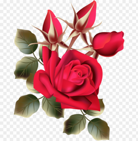 image du blog zezete2 - fresh rose flowers PNG images with alpha transparency wide collection