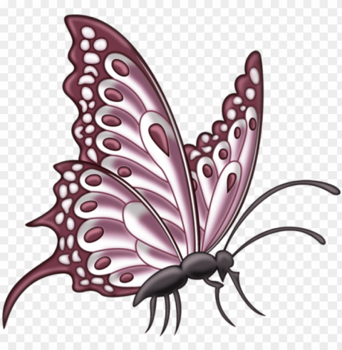 image du blog zezete2 - pink butterfly side PNG images with clear background PNG transparent with Clear Background ID 7db23c22