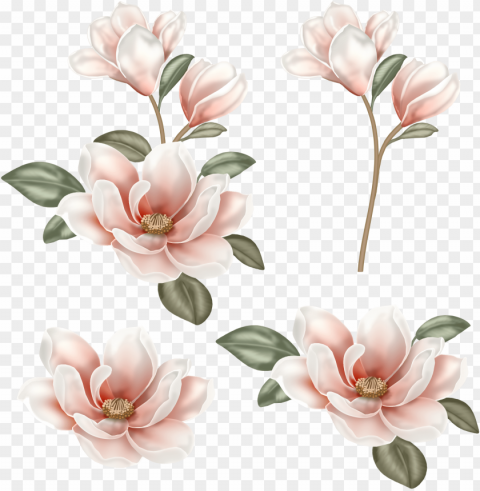image freeuse stock flower clip art chinese transprent - flower painting PNG files with transparent backdrop