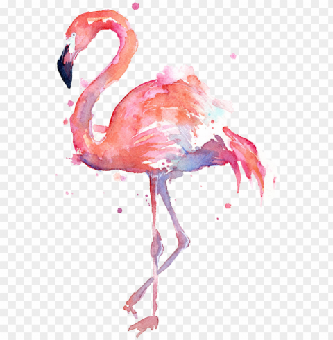 image library download flamingos sticker challenge - watercolor flamingo Isolated Element with Clear PNG Background