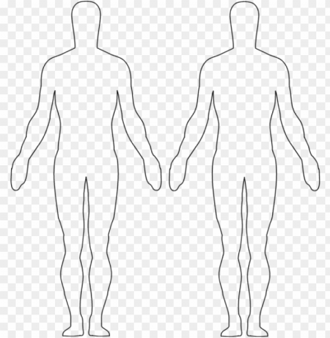 image result for body outline body outline outlines - figure drawi PNG transparent graphics for download