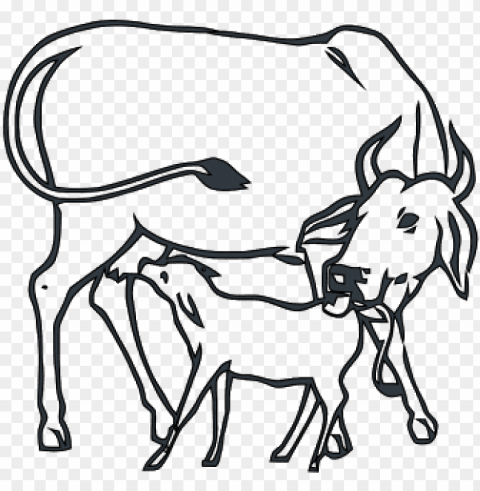 image result for dairy cow faces coloring pages indian - cow and calf drawi HighResolution Transparent PNG Isolation