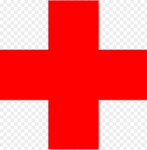 image result for lifeguard cross - doctor plus logo PNG with no bg
