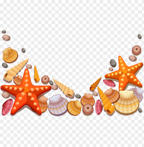 image royalty free library colorful seashell clipart - sea shells shower curtai Clear Background PNG Isolated Illustration PNG transparent with Clear Background ID d492af9f