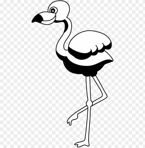 image royalty free stock clip art black and white panda - black and white flamingo clipart transparent background PNG artwork with transparency