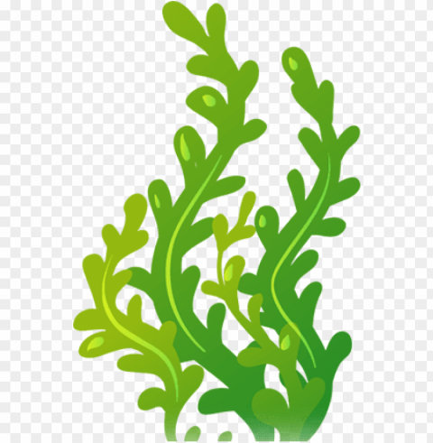 image title - seaweed clipart Transparent PNG graphics archive