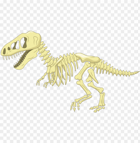  transparent library bone cartoon clip art fossil - cartoon dinosaur skeleto Clean Background Isolated PNG Image