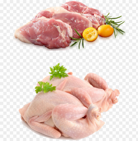 image - turkey meat Transparent art PNG PNG transparent with Clear Background ID e905d55e