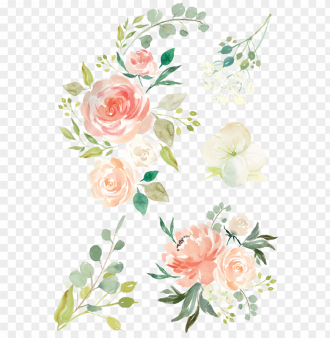 image watercolor animal jam clip freeuse download - hand drawn flowers PNG with alpha channel