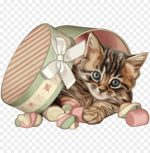 imageedit 15 9424479603 cat colors cute cats kittens - cat Isolated Subject in Clear Transparent PNG
