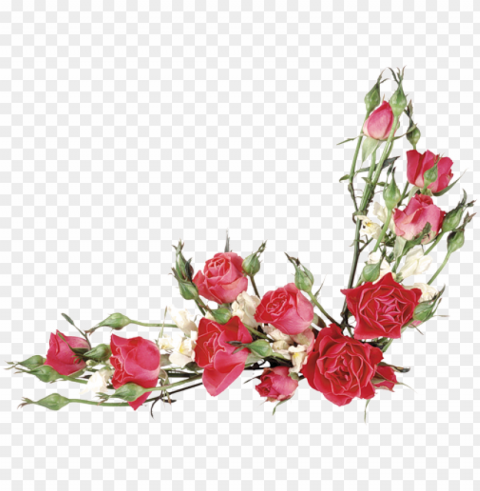 imagens em de buquês e cestas de flores - red rose border watercolor hd Isolated Icon on Transparent PNG