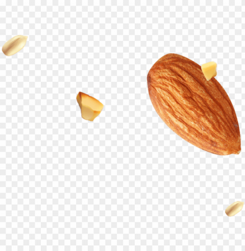 Imgfooteralmond Seed - Almond PNG With No Cost