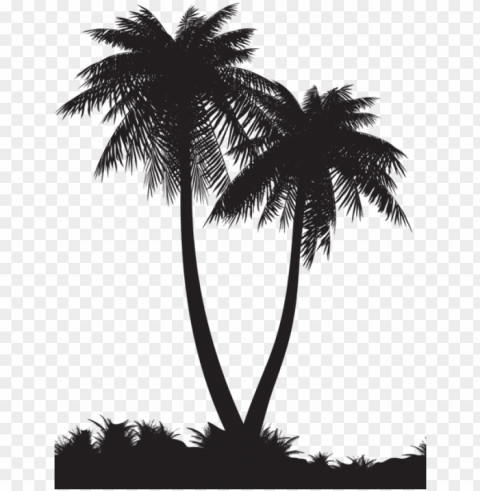 in by alan on bookshelves - palm tree silhouette Transparent PNG images database