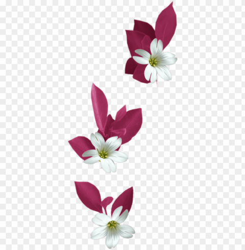 in by jadwiga on kwiaty transparent - flowers tubes PNG photo