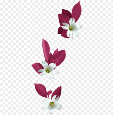 in by jadwiga on kwiaty transparent - flowers tubes PNG photo PNG transparent with Clear Background ID b32c1433