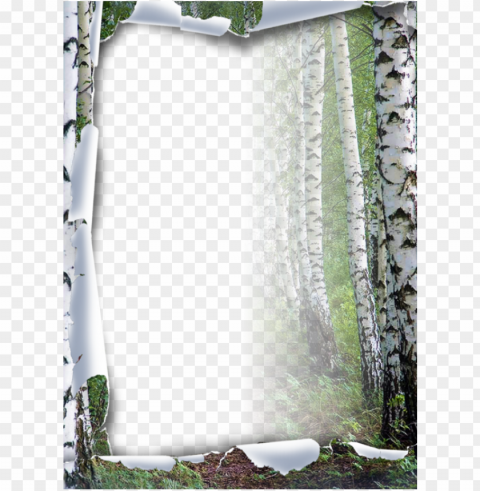 in by kim reed on scrap - frames tubes zezete2 centerblog net rub cadres PNG graphics with alpha transparency bundle