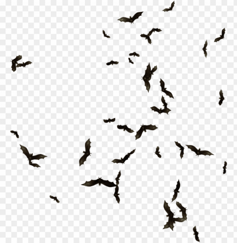 index of mapping objects clipart transparent library - swarm of bats PNG file with no watermark