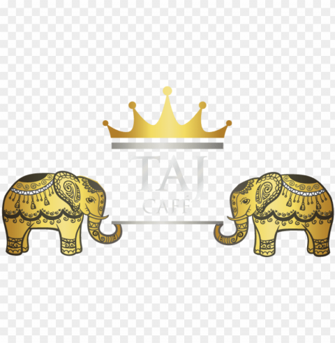 indian elephant Isolated Design Element in Clear Transparent PNG