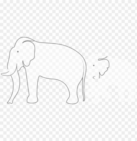 indian elephant PNG for educational use