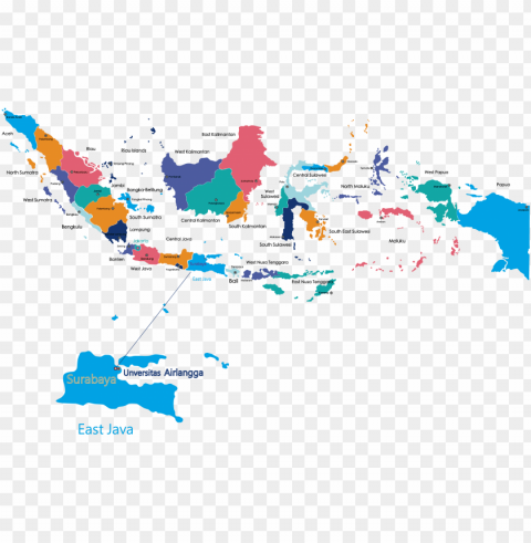 indonesia map provinces Isolated Illustration with Clear Background PNG