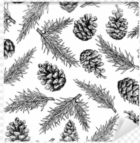 ine cone and fir tree seamless pattern - conifer cone PNG Image with Transparent Isolated Graphic Element