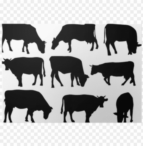 ine cows silhouettes isolated on white poster pixers - cow silhouette Transparent PNG images set