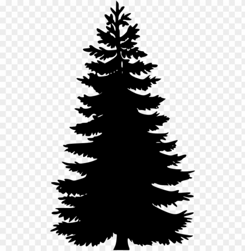 ine tree vector Transparent PNG images extensive gallery