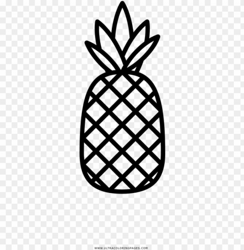ineapple coloring page ultra coloring pages pineapple - pineapple coloring page Isolated Graphic on Clear Transparent PNG
