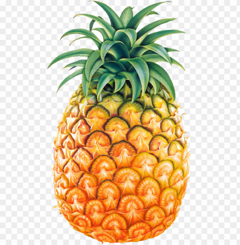 ineapple fruit image - pineapple PNG images with alpha transparency wide collection