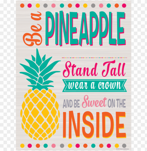 ineapple stuff for classroom PNG graphics with alpha transparency bundle