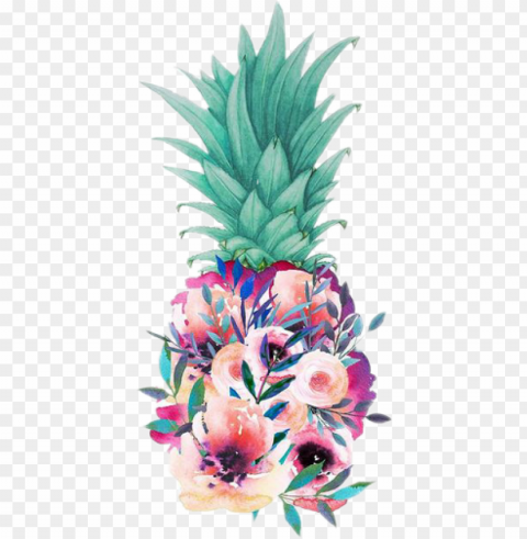 ineapple tropical drawing art flowers - floral pineapple PNG files with clear background bulk download