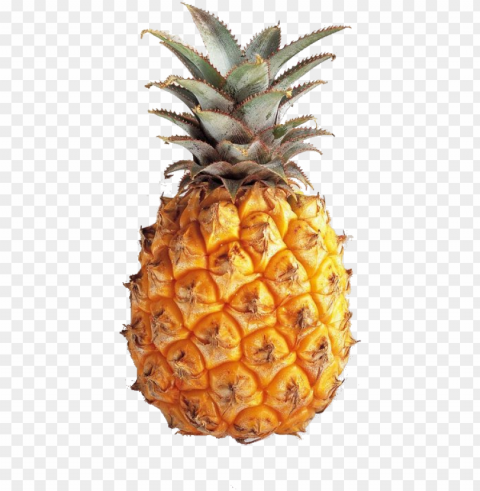 ineapple tumblr theme download transparent pineapple - pineapple transparents PNG files with no background bundle