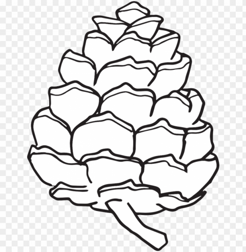 inecone cliparts cliparts zone pine cone - simple pine cone drawi PNG images with alpha transparency layer