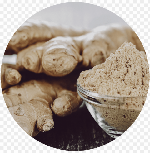 inger - ginger root PNG Image with Clear Background Isolated