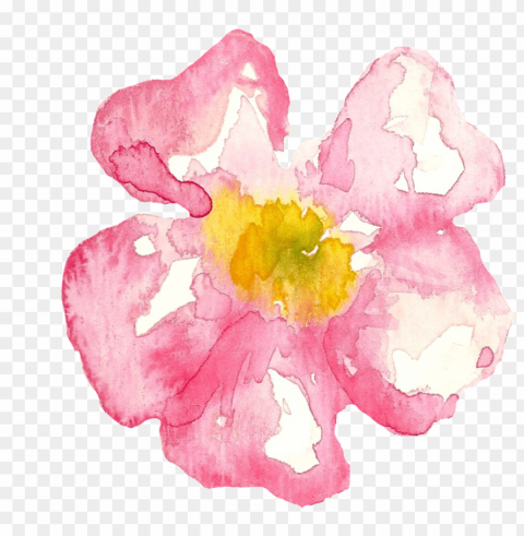 Ink Cherry Blossom Cartoon Transparent - 櫻花 卡通 PNG With Clear Overlay