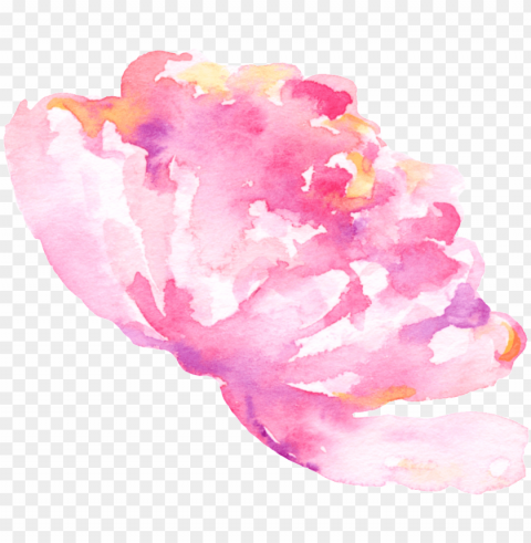 ink doodle flower cartoon transparent - watercolor paint PNG Object Isolated with Transparency