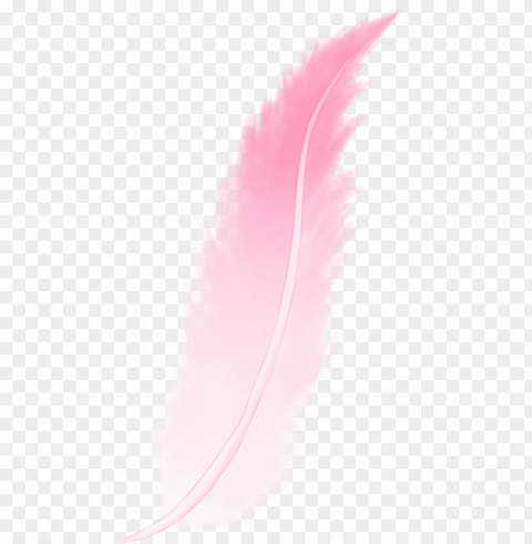 ink feather - feather Transparent PNG images for printing