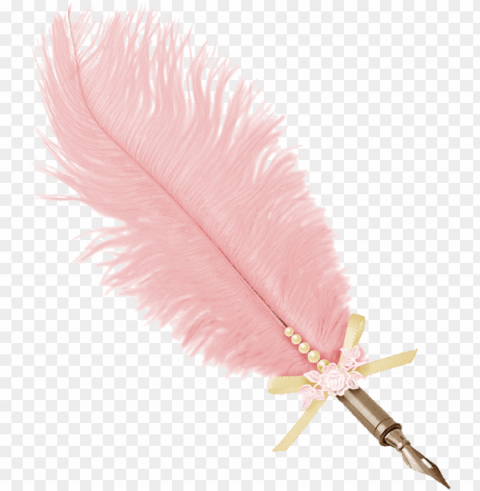 ink feathers photo - pink feather pen Transparent Cutout PNG Isolated Element