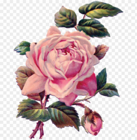 ink flowers 2017 11 202018 01 26http - vintage mothers day card roses in newsprint jumbo & PNG transparent designs for projects