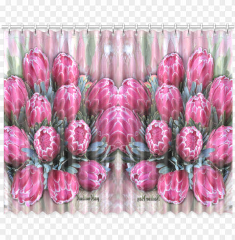 ink ice protea window curtain 52x84 - window Isolated PNG Graphic with Transparency
