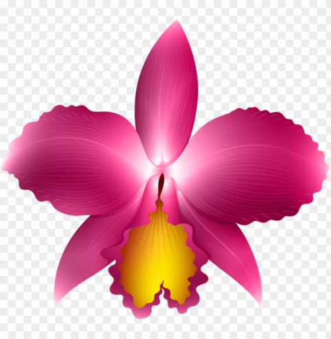 ink orchid transparent clip art image - orchid clip art Isolated Design Element in HighQuality PNG