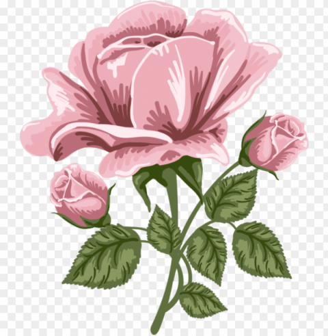 ink rose art picture - pink rose art Isolated Element in HighResolution Transparent PNG