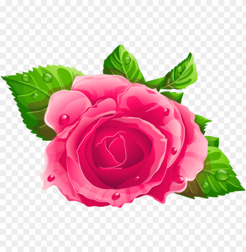 ink rose clipart PNG with no background diverse variety