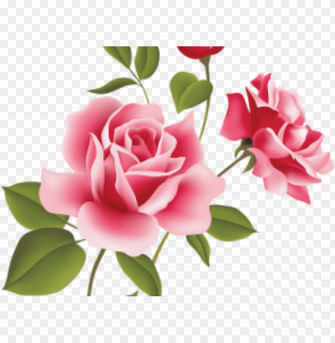 ink rose clipart file - rose flowers vector Transparent PNG Isolation of Item