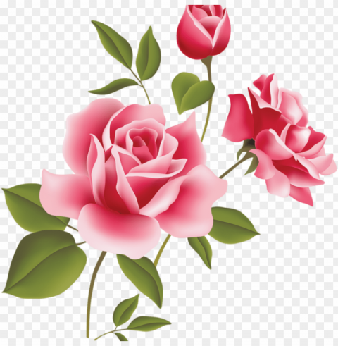 ink rose clipart pink rose art picture clipart clipart - rose flowers vector Transparent PNG graphics bulk assortment