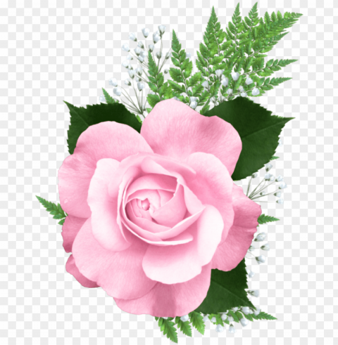 ink rose picture - pink roses PNG transparent photos assortment