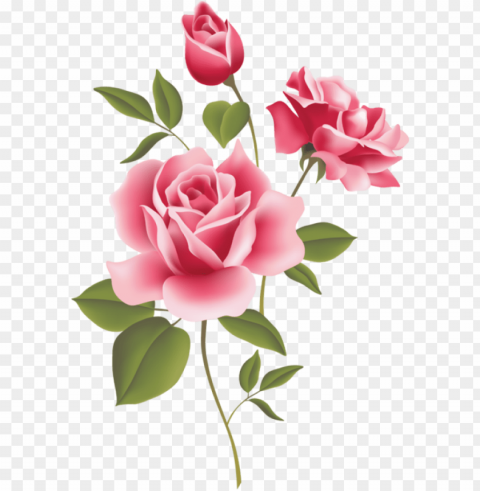 ink roses a wild irish rose logo - romantic love rose HighQuality Transparent PNG Isolated Object
